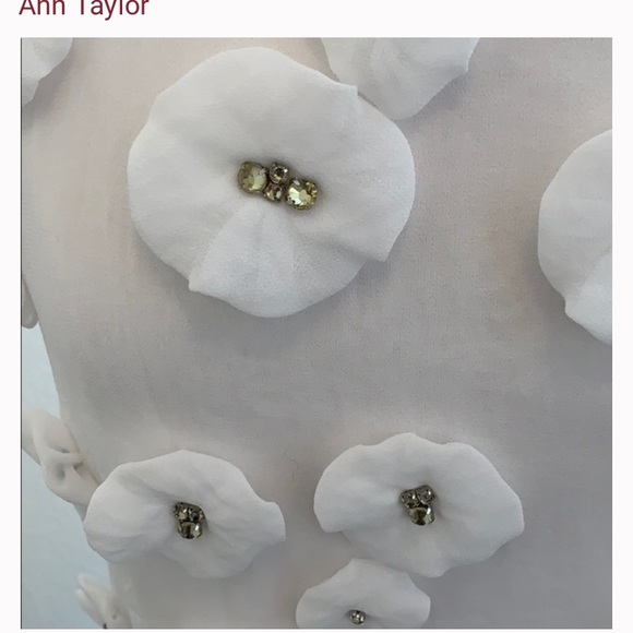 Ann Taylor rhinestone embellished chiffon t-shirt - Picture 4 of 5